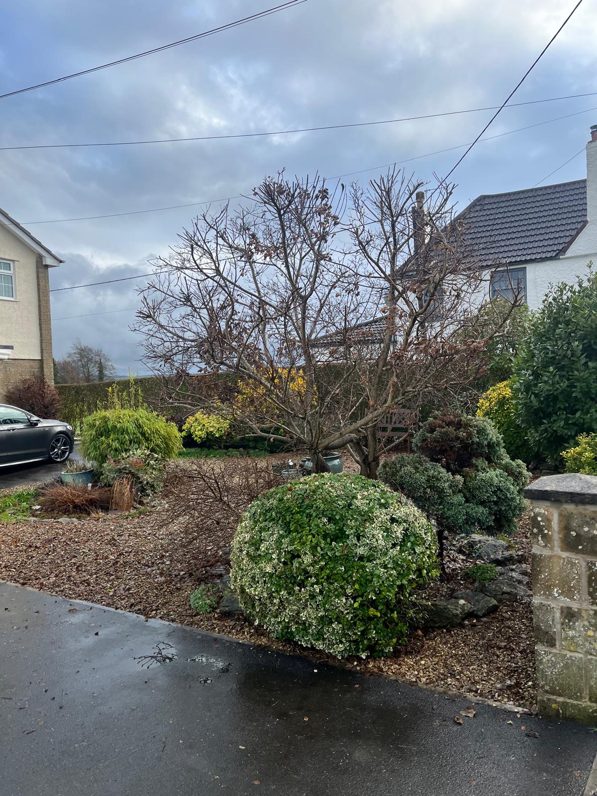 Garden maintenance work