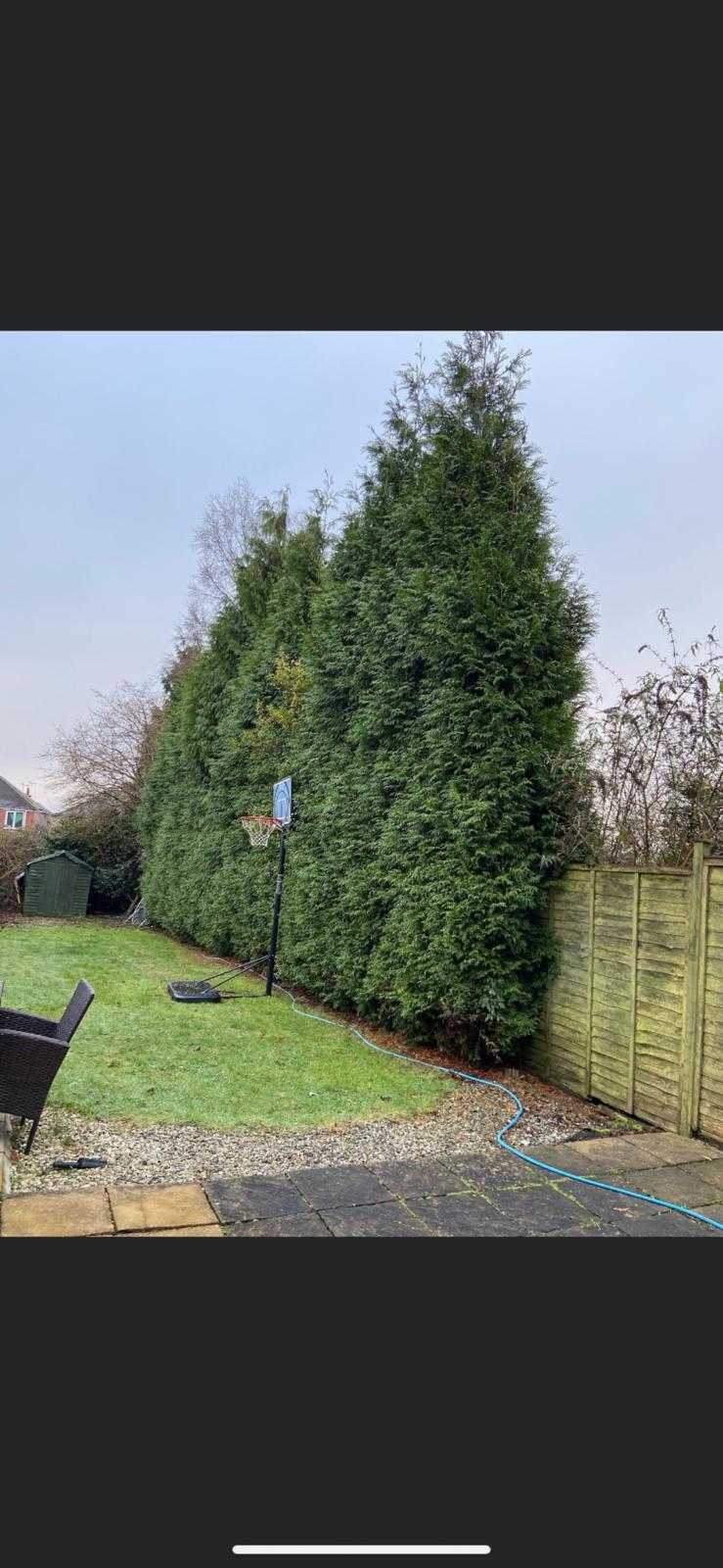 Garden maintenance work