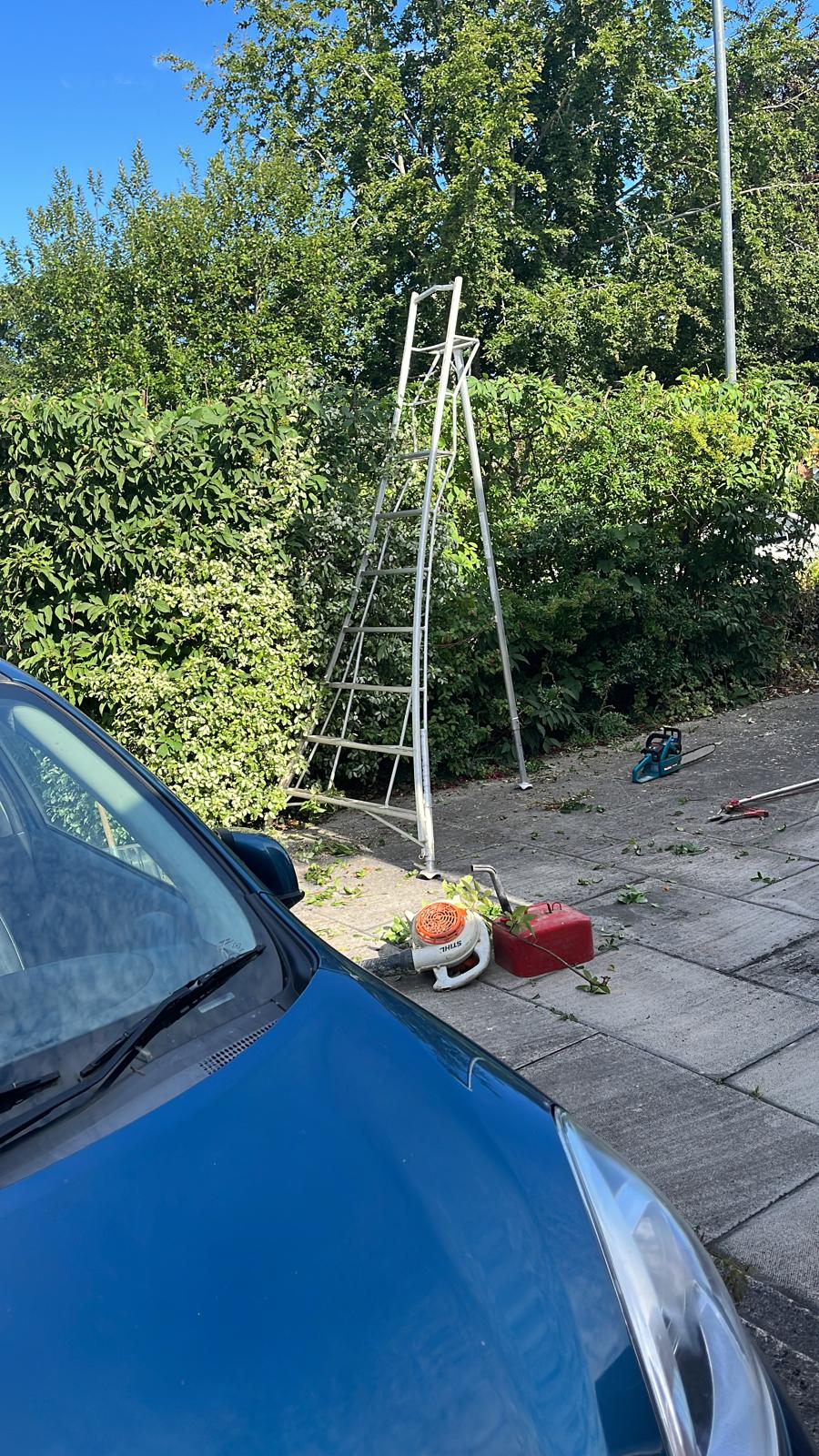 Garden maintenance work