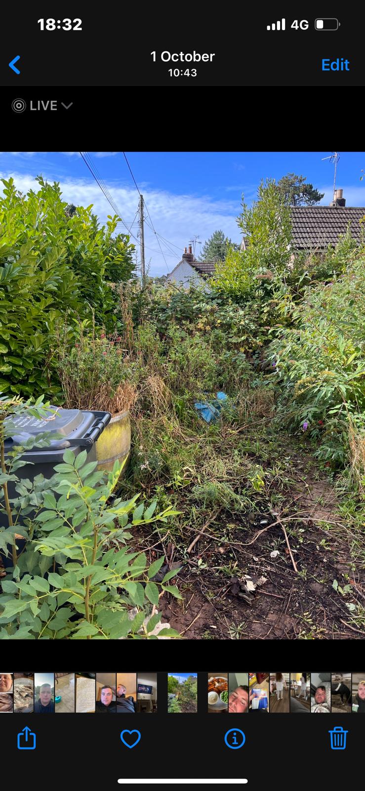 Garden maintenance work