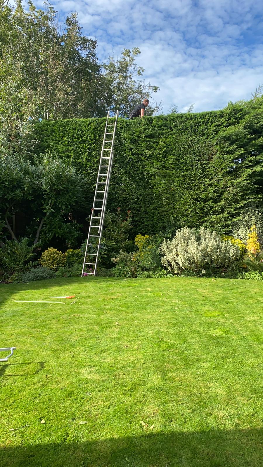 Garden maintenance work